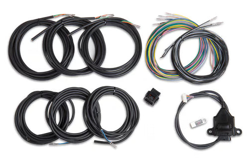 Holley Digital Dash I/O adapter unterminated vehicle harness Big Block Chevy EFI system