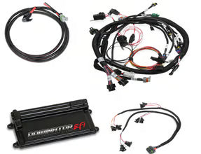 Holley Dominator EFI kit coil on plug main sub harness EV1 injector harness Big Block Chevy BBC engine management