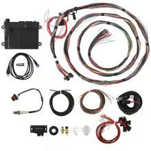 Holley HP EFI ECU unterminated harness kit Bosch 550-605 Big Block Chevy BBC engine management