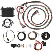 Holley HP EFI ECU unterminated harness kit NTK 550-605N Big Block Chevy BBC engine management